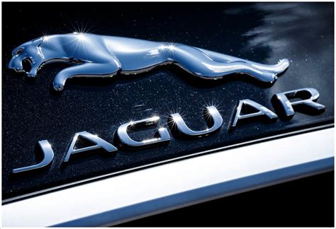 Jaguar Logo Meaning and History, latest models | World Cars Brands