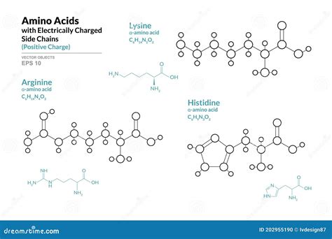 Arginine Chemical Formula. Arginine 3D Realistic Chemical Molecular Structure Cartoon Vector ...