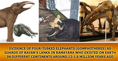 Evidence of FOUR-TUSKED elephants (Gomphotheres) as Guards of Ravan’s Lanka in Ramayana, existed ...