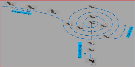 Bald eagle behavior while hunting | Download Scientific Diagram