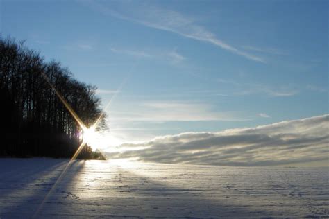 Winter Sun Free Stock Photo - Public Domain Pictures