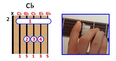 How to Play C♭ major Chord on Guitar, Ukulele and Piano [with PDF]