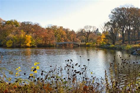 How to Visit the Central Park Bow Bridge | Map + Photography Tips