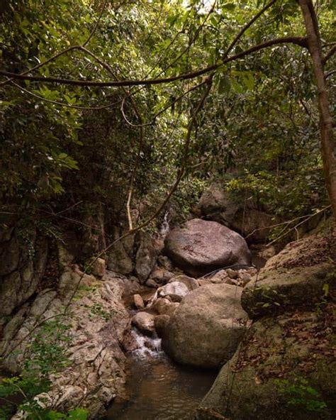 6 BEST KOH PHANGAN WATERFALLS - The Ultimate Guide