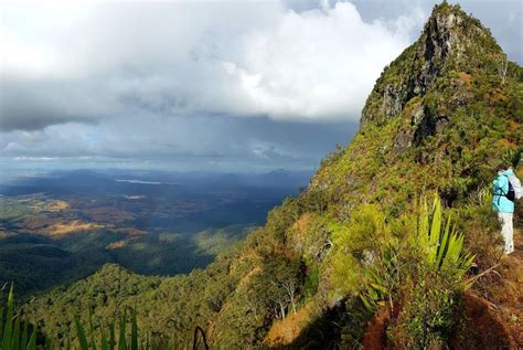 Scenic Rim Walking Holidays Queensland | Life's An Adventure