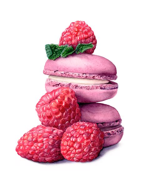 Watercolour Macarons by Katherine Appleby 50876670777678194 | Disegno cibo, Disegni per torte ...