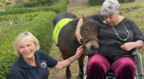 Pony Power! Residents at Care Home are Visited by Rescue Ponies