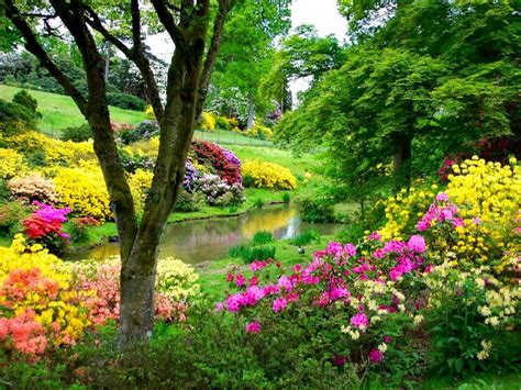 Serene Park Blooms: A Vibrant Nature Escape