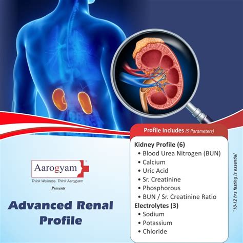 Thyrocare Advanced Renal Profile @ Rs 650 | Call 7289876363