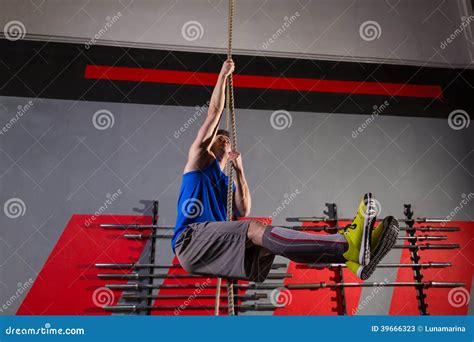 Rope Climb Exercise Man Workout At Gym Stock Photo - Image: 39666323