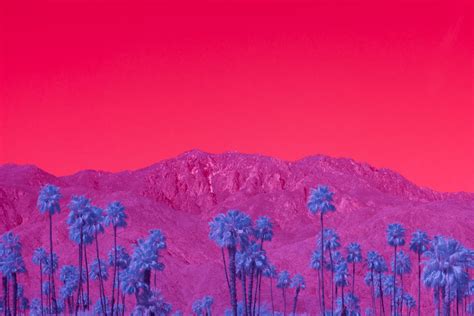 Psychedelic Photos From the Californian Desert | Fine art photographs, Art, Desert art