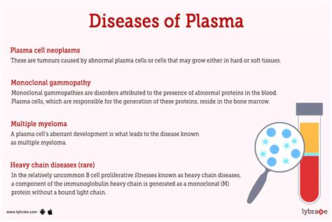 Plasma (Human Anatomy): Picture , Functions, Diseases and Treatments