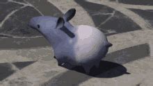 Tapir GIFs | Tenor