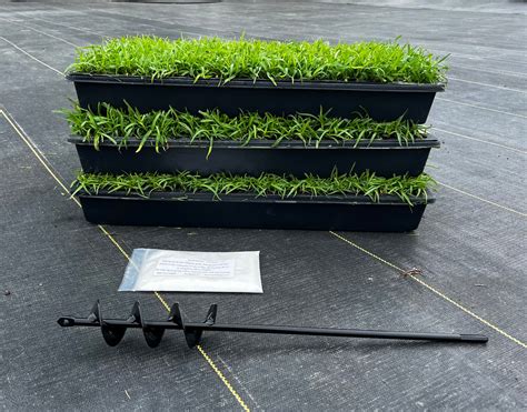 BUNDLE - Centipede grass plugs (50 cell trays), Auger, Soil Moist – NC Grass Plugs