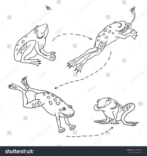 874 Frog jump outline Images, Stock Photos & Vectors | Shutterstock