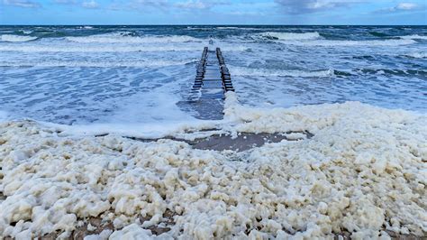 Gobs of sea-foam wash up in Spanish town. Here's why. | Live Science