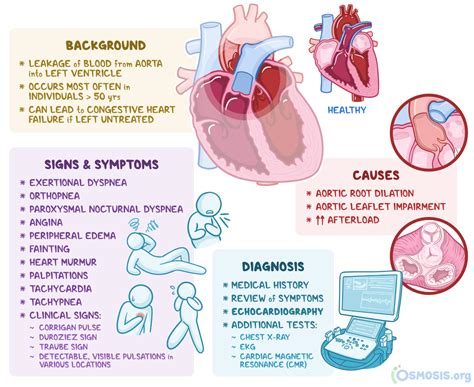 Aortic Regurgitation: What Is It, Causes, Diagnosis, Treatment, and More | Osmosis