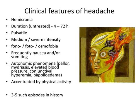 PPT - Parietal lobe PowerPoint Presentation, free download - ID:2194308