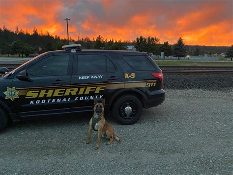 K9 Dyno enjoying the... - Kootenai County Sheriff K-9