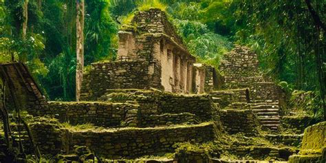 The mysterious disappearance of the Maya civilization: what happened to ...