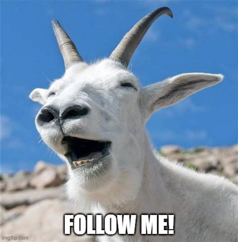 Laughing Goat Memes - Imgflip