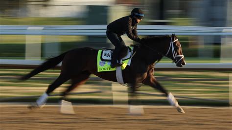 Expert Picks: Who Will Win the 2023 Kentucky Derby - The New York Times