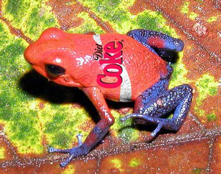 Poison Dart Diet Coke Frog by MrAngryDog on deviantART