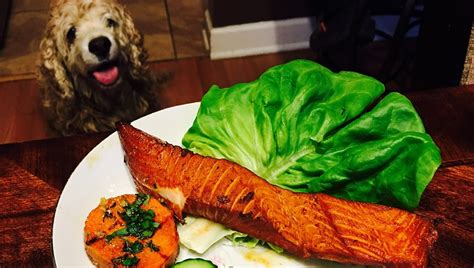 Can Dogs Eat Salmon? Is Salmon Safe For Dogs? - DogTime