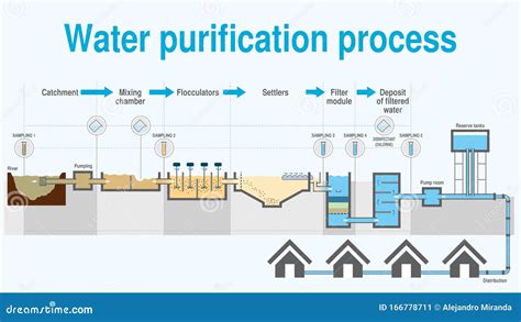 Graph that Shows the Process of Water Purification Step by Step on White Background Stock Vector ...