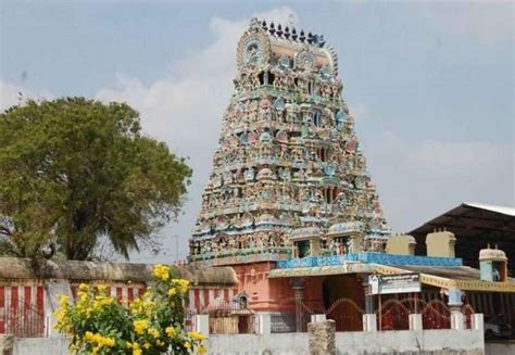 Thirunallar Temple Timings - Pooja, Darshan, How To Reach