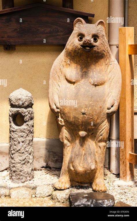 Japan, Kyoto. Tanaki, full size standing statue, raccoon-dog Stock Photo: 84018305 - Alamy