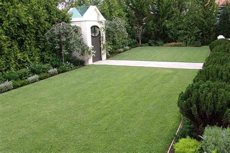 Ultimate Guide to Growing Zoysia Grass