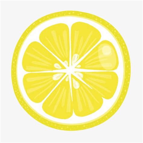 Household Bugs, Drinking Lemon Juice, Lemon Clipart, Hand Juicer, Cloud Cake, Lemon Uses, Lemon ...