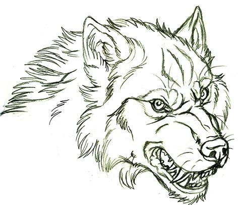 Wolf Head Side Drawing at GetDrawings | Free download