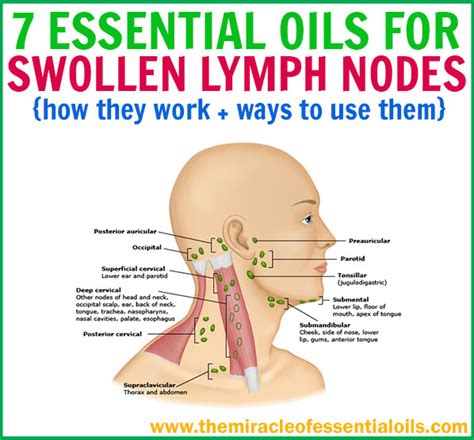 Best Essential Oils for Lymph Node Swelling - The Miracle of Essential Oils