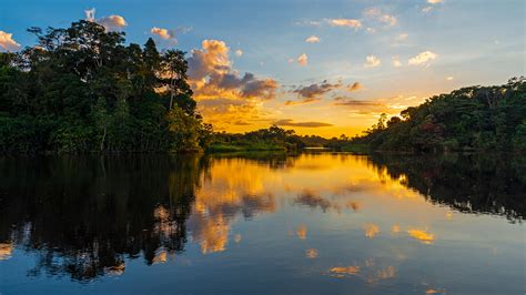 Exploring Yasuni National Park - Ecuadorian Amazon - Steppes Travel