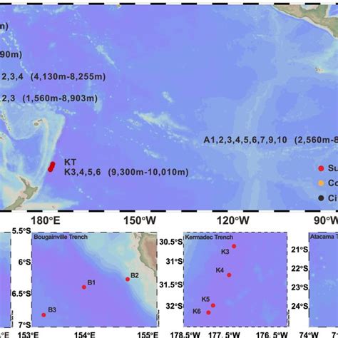 (PDF) The hadal zone is an important and heterogeneous sink of black carbon in the ocean