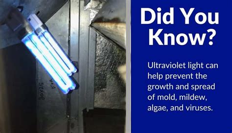 What Are The Benefits of UV Light in HVAC Systems? (2024 Guide)