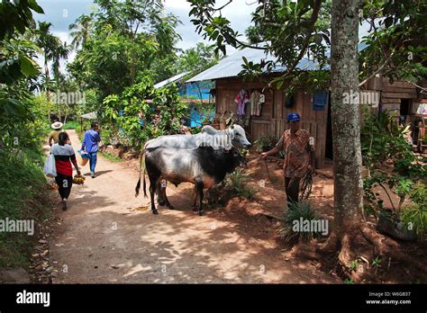 The life in Village of Indonesia Stock Photo - Alamy