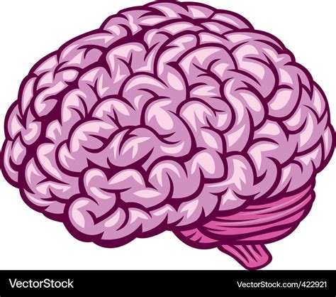 Brain Royalty Free Vector Image - VectorStock