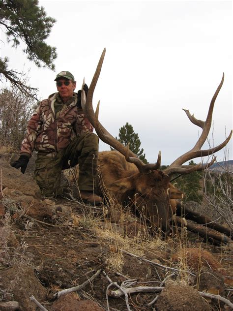 Rocky Mountain Hunting: 2010 Late Season Bull Elk Hunt