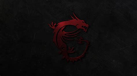 MSI 2560x1440 Wallpapers - Top Free MSI 2560x1440 Backgrounds - WallpaperAccess