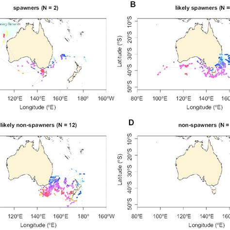 (PDF) Distribution and Migration—Southern Bluefin Tuna (Thunnus maccoyii)