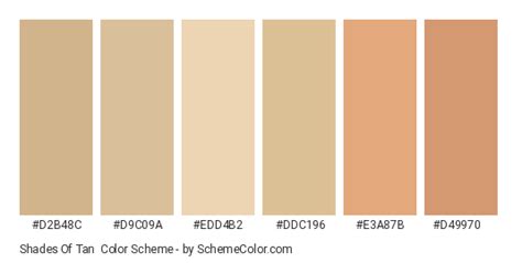 Shades Of Tan Color Scheme » Brown » SchemeColor.com