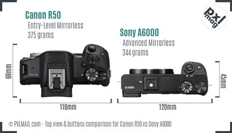 Canon R50 vs Sony A6000 In Depth Comparison - PXLMAG.com