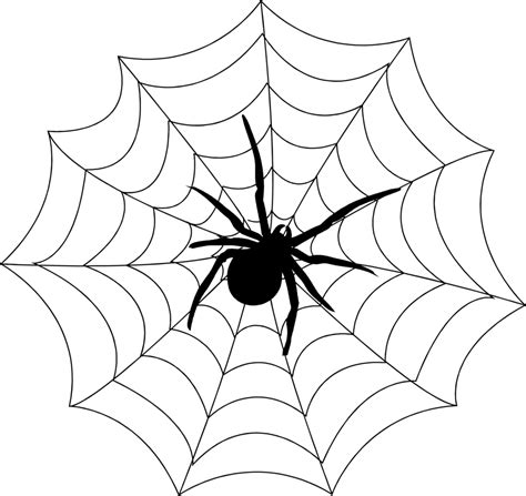 Free Spider Web Transparent Background, Download Free Spider Web Transparent Background png ...