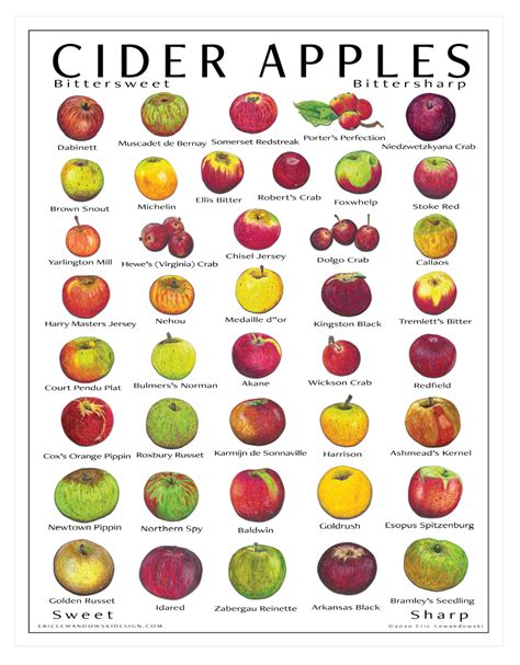 Cider Apples Poster (2020) — Heirloom Apple