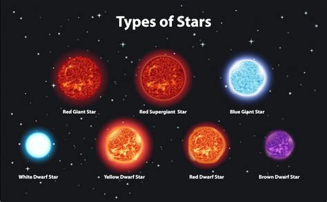 Free Vector | Different types of stars in dark space