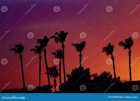 Orange and Purple Sunset Silhouette Stock Photo - Image of afterglow, dusk: 223008166