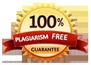 plagiarism free Essay